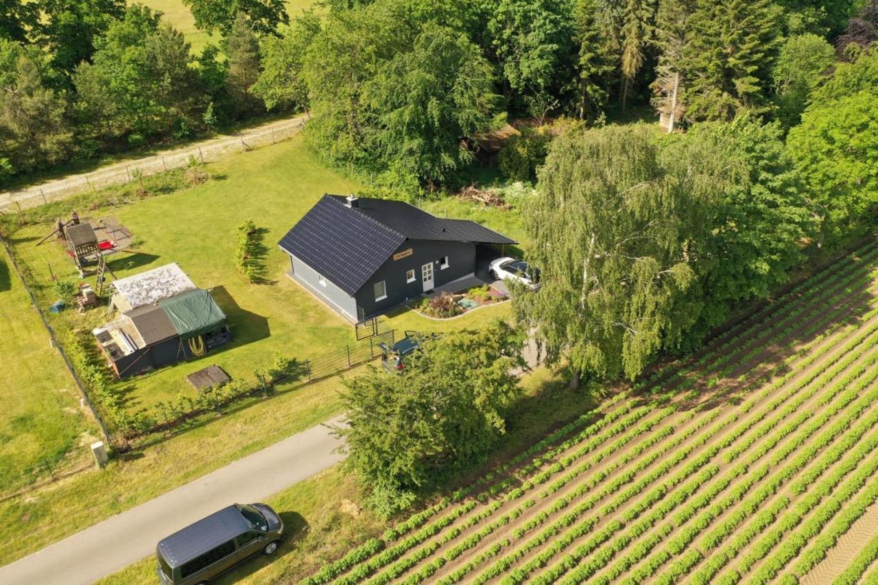 Ferienhaus “ Lille Hyggehytte“ Altenmedingen Exteriör bild